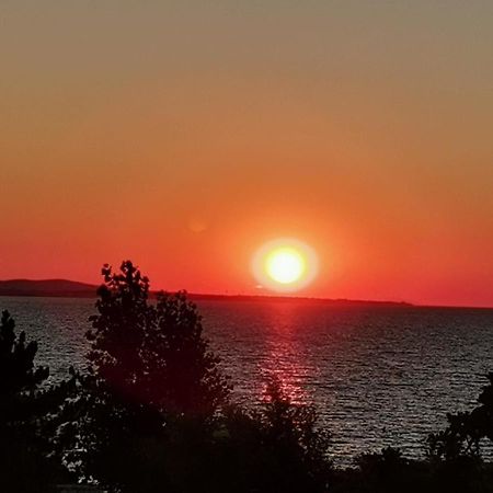 Apartman Zvoncica Vrsi Exteriör bild