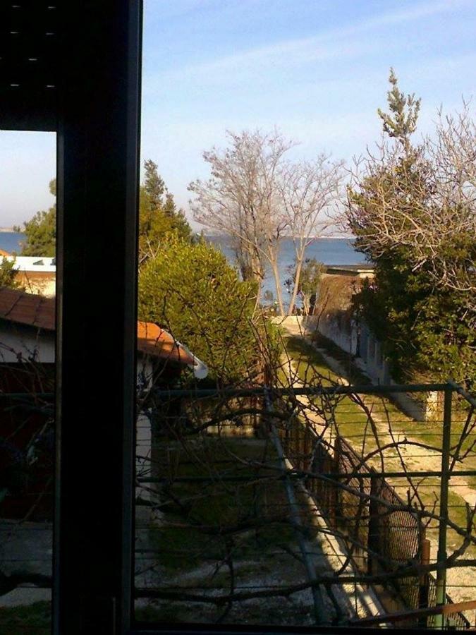 Apartman Zvoncica Vrsi Exteriör bild