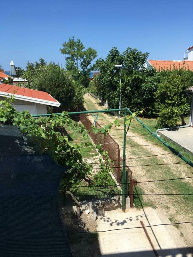 Apartman Zvoncica Vrsi Exteriör bild