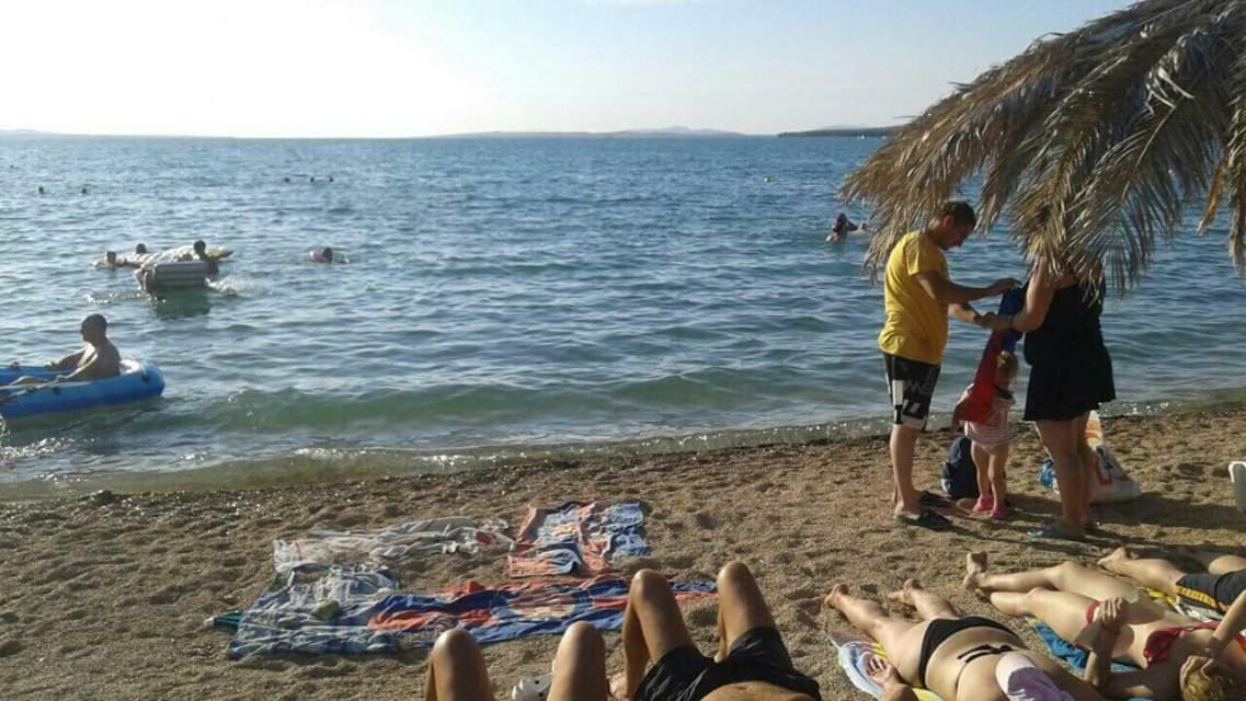 Apartman Zvoncica Vrsi Exteriör bild
