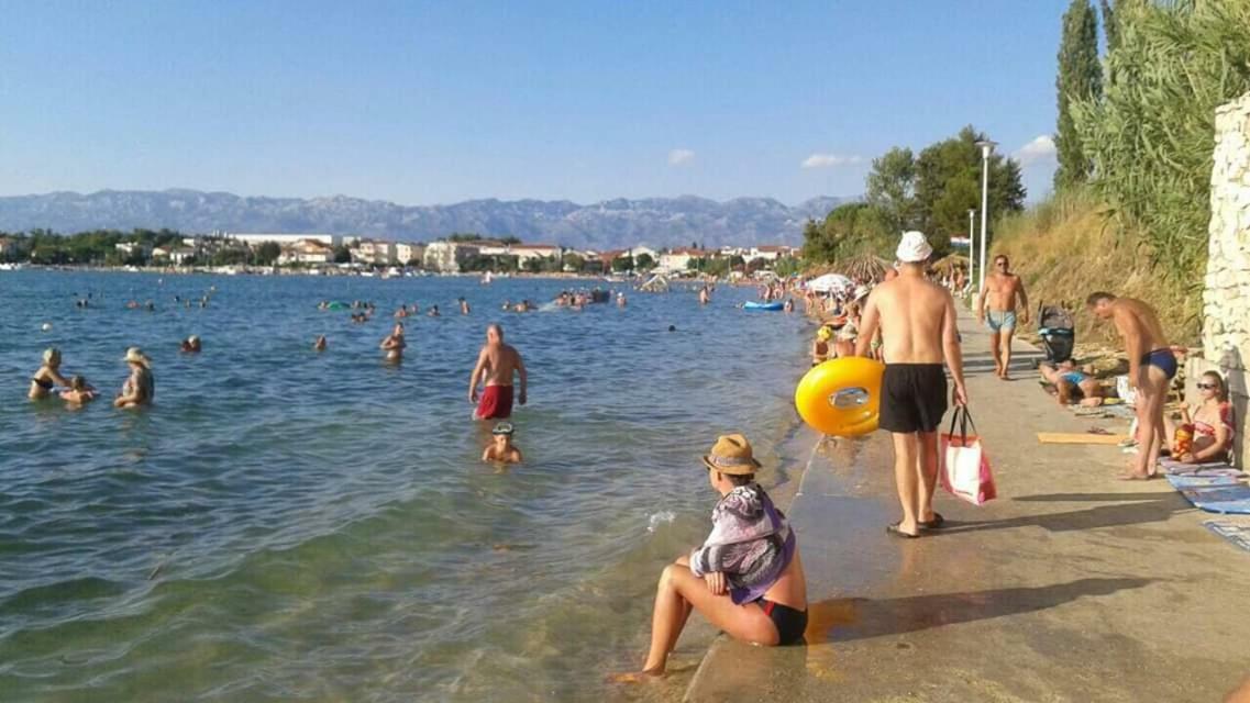 Apartman Zvoncica Vrsi Exteriör bild